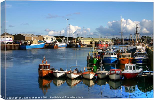 Kilkeel fishing fleet Canvas Print by David McFarland