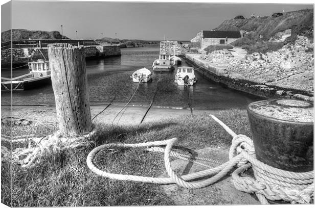 Tied up in Ballintoy Harbour Canvas Print by David McFarland