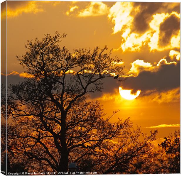 Watching the sun go down Canvas Print by David McFarland