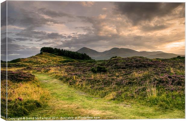 Murlough and the Mournes Canvas Print by David McFarland