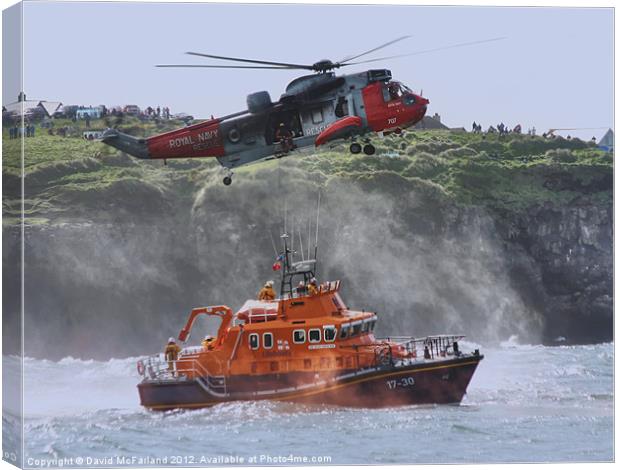 Lifesavers Canvas Print by David McFarland