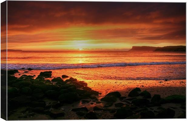 A new day Canvas Print by David McFarland