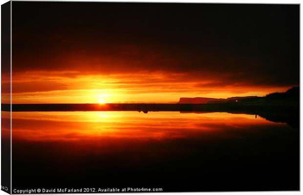 Dawn stillness Canvas Print by David McFarland