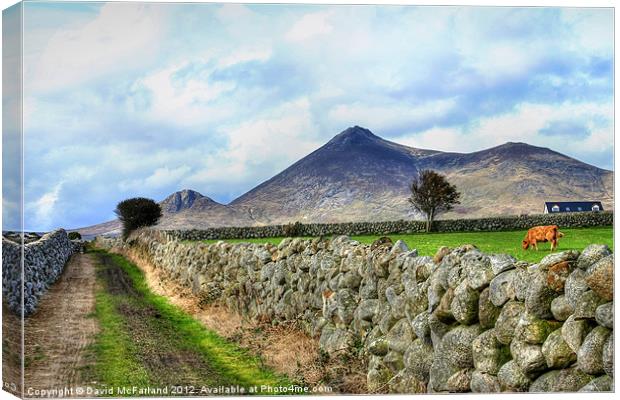 Mourne Mountain Farming Canvas Print by David McFarland