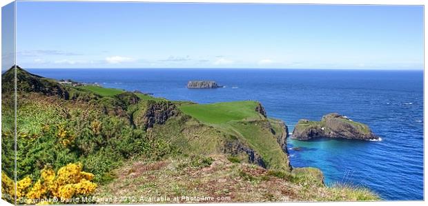 Carrick-a-Rede and Sheep islands Canvas Print by David McFarland