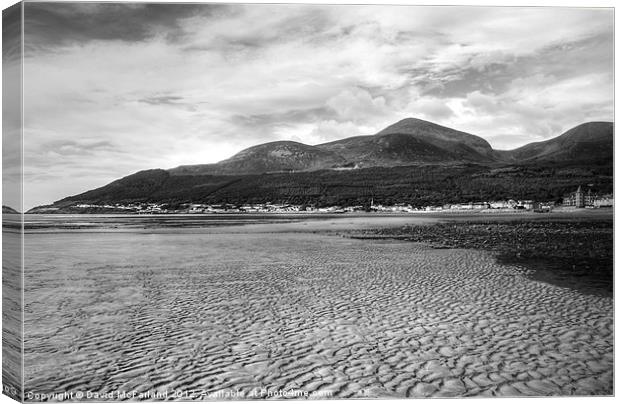 Tide out at Newcastle Canvas Print by David McFarland