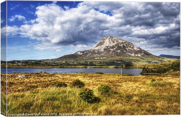 Errigal, Pride of Donegal Canvas Print by David McFarland