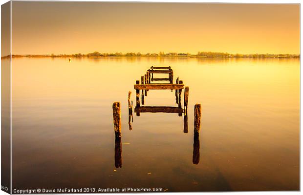 Old jetty at Oxford Island nature reserve in North Canvas Print by David McFarland