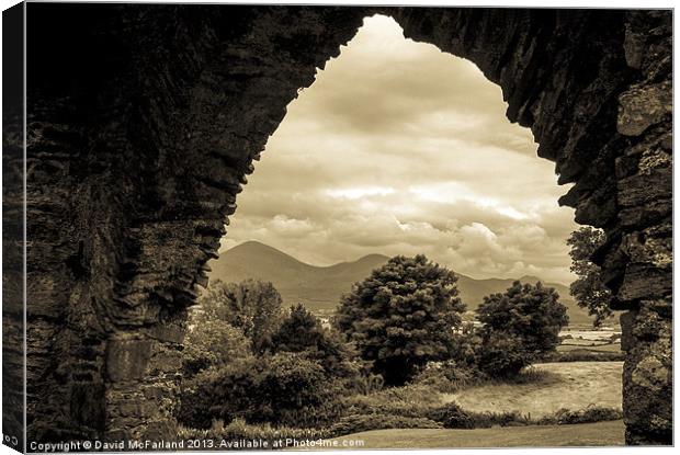 Mourne view arch Canvas Print by David McFarland