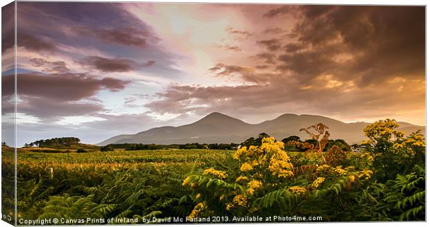 Sunset over the Mournes Canvas Print by David McFarland