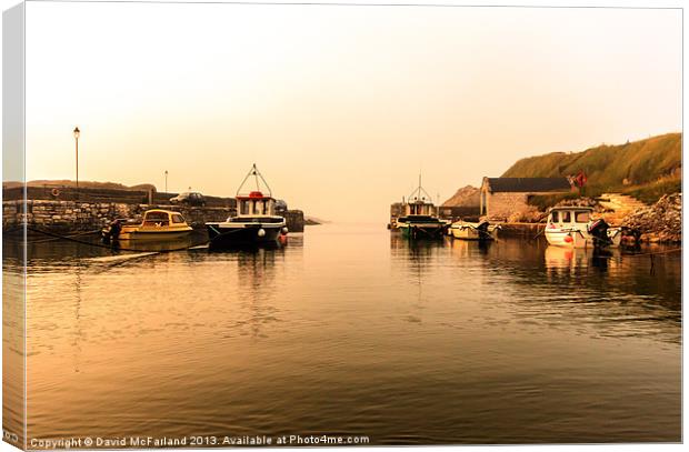 Evening in Ballintoy Harbour Canvas Print by David McFarland
