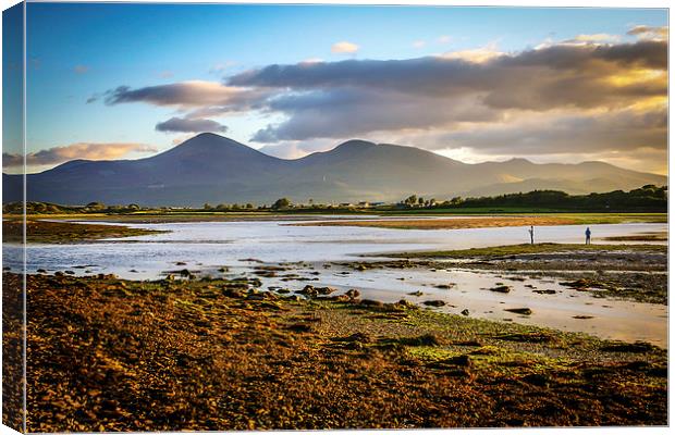 Evening anglers at the Mournes Canvas Print by David McFarland