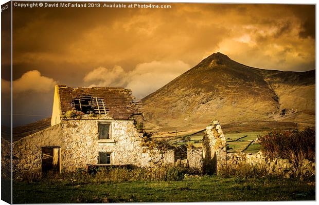 Derelict Homestead in Mountains of Mourne, County  Canvas Print by David McFarland