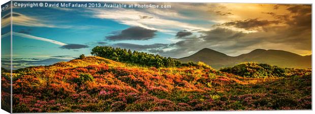 Evening over the Mourne Mountains Canvas Print by David McFarland