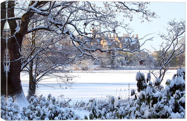 Lurgan Park in the snow Canvas Print by David McFarland