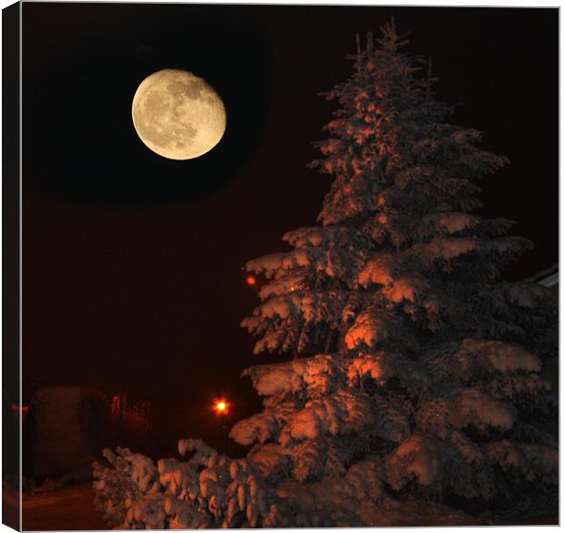 Winter moonrise Canvas Print by David McFarland