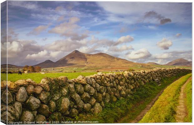 Mourne mountain pathway Canvas Print by David McFarland