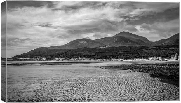 Slieve Donard Canvas Print by David McFarland