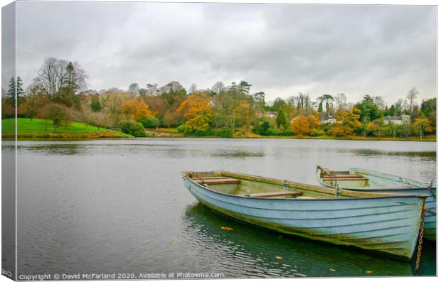 Dungannon Park lake Canvas Print by David McFarland