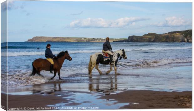 Horses on the shore in Northern Ireland Canvas Print by David McFarland