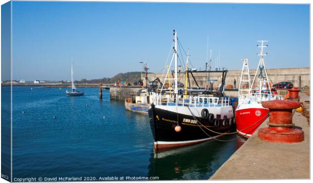 Ardglass harbour Canvas Print by David McFarland