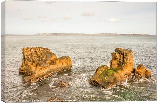 Rocks and Rathlin, Northern Ireland Canvas Print by David McFarland