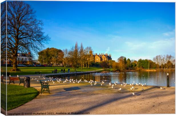 Lurgan Park and Brownlow House Canvas Print by David McFarland