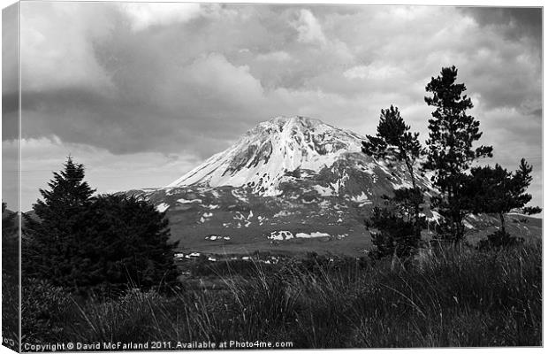 Old Errigal Canvas Print by David McFarland