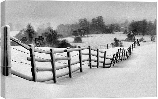 Harsh Winter Canvas Print by Rob Camp