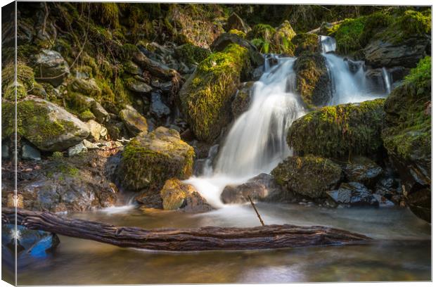 Lodore Waterfall Canvas Print by Rob Camp