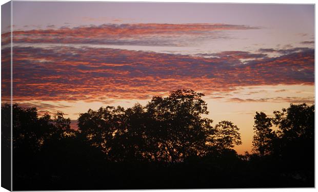 sunrise over the trees Canvas Print by Martin Parkinson
