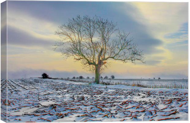  Winters Morning Canvas Print by Martin Parkinson