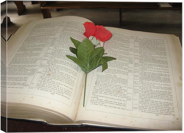 Bible with Flower Canvas Print by Diane Brause