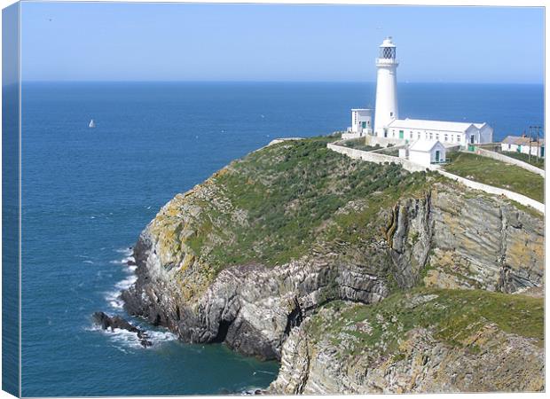 southstack anglesy Canvas Print by bryan hill