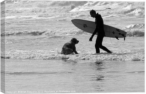 One Surfer And His Dog Canvas Print by Brian Roscorla