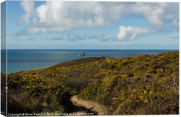 Cornish Seascape St Agnes  Canvas Print by Brian Roscorla