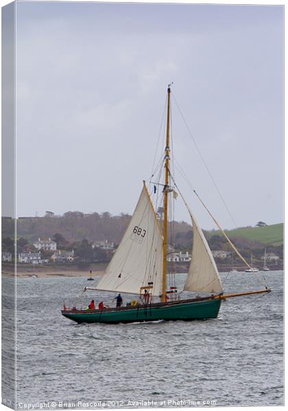 Passing St Mawes Canvas Print by Brian Roscorla
