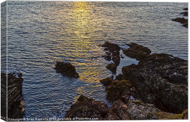 Golden Reflection Canvas Print by Brian Roscorla