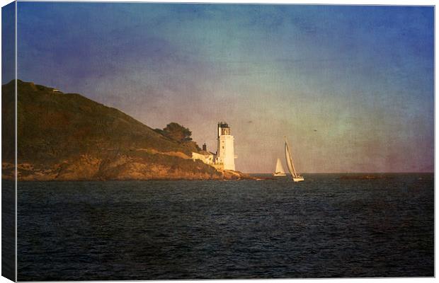 Taking the short cut Canvas Print by Brian Roscorla