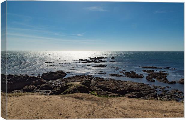 Lizard Point Cornwall Canvas Print by Brian Roscorla