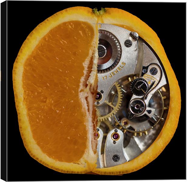 Clockwork Orange Canvas Print by Brian Roscorla