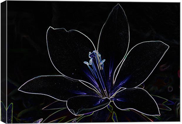 Abstract lilly Canvas Print by Brian Roscorla