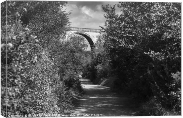 Carnon Valley  Canvas Print by Brian Roscorla