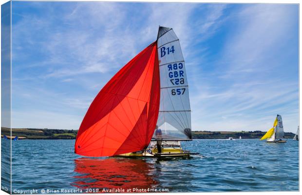 Red Spinnaker Canvas Print by Brian Roscorla
