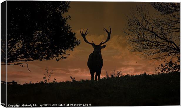 Stag Night Canvas Print by Andy Morley