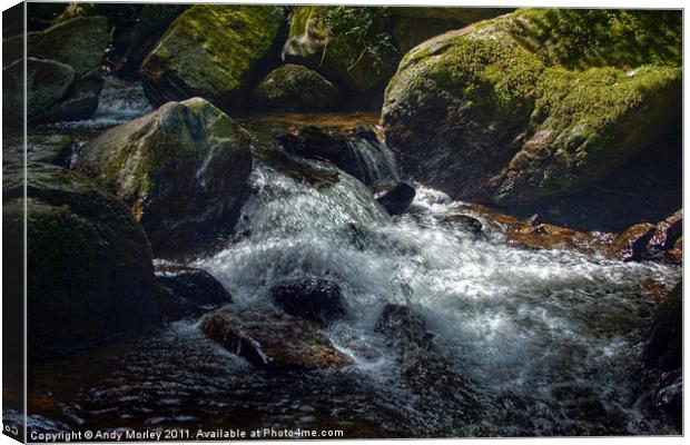 The river Lyn flowing through Lynmouth Gorge Canvas Print by Andy Morley