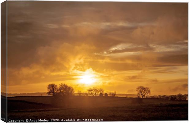 Golden Skies Canvas Print by Andy Morley