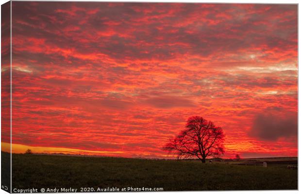 Shepherd's Delight Canvas Print by Andy Morley