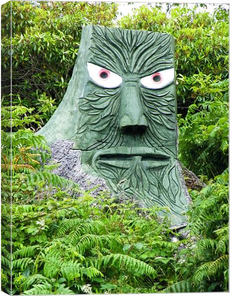 stump face Canvas Print by malcolm maclean