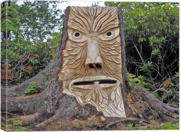 stump face unpainted Canvas Print by malcolm maclean
